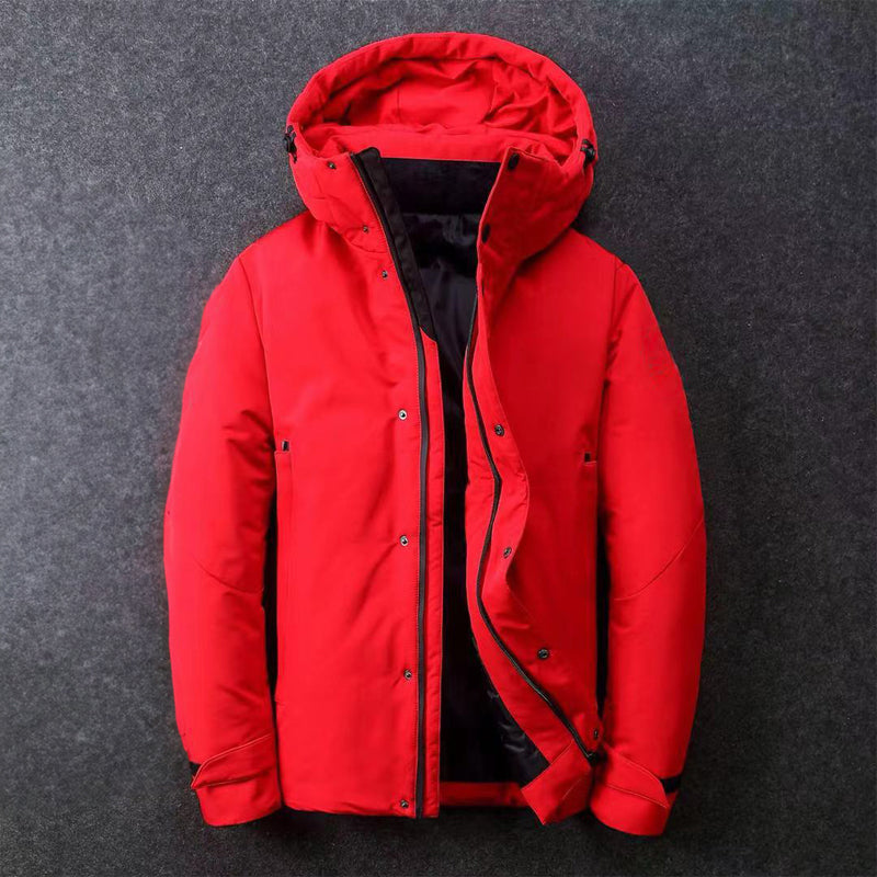 Theodore Willow Men's Lewis Down Jacket - Lightweight, Insulated Winter Coat for Ultimate Warmth & Comfort